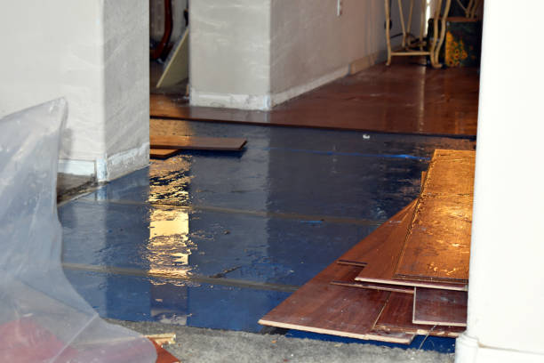 Professional Emergency Water Damage Restoration technician working in Morton, WA